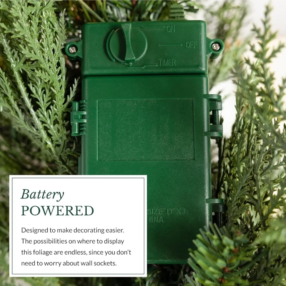 Balsam Hill Outdoor 10' Garland